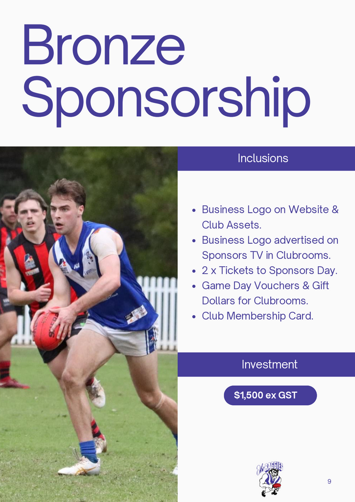 Sponsorship - Bronze Package